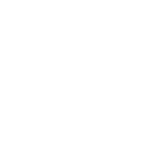 Transmission Icon