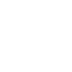 Tire Icon