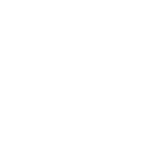 Key icon