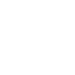 Battery Icon