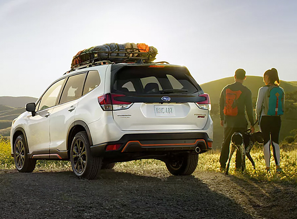 A couple and their dog standing beside their parked Subaru