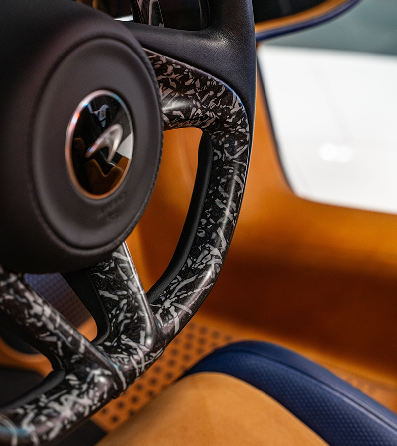 Bugatti Emblem on a car