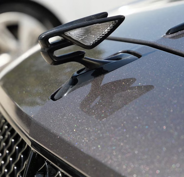 Close up of a Bentley hood ornament
