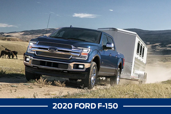 2020 Ford F-150 towing horse trailer on ranch