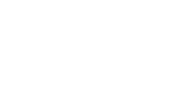 Cargo Van