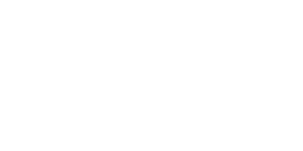 Passenger Van