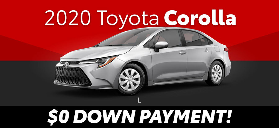 2020 Toyota Corolla L (293361)