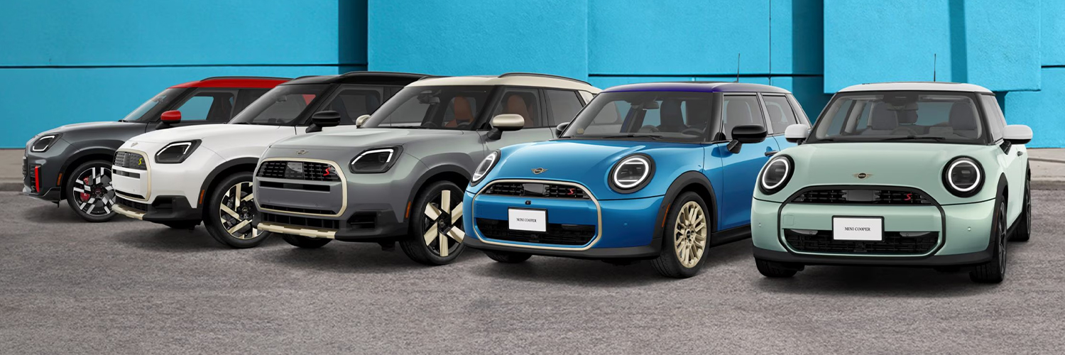 Mini Linup